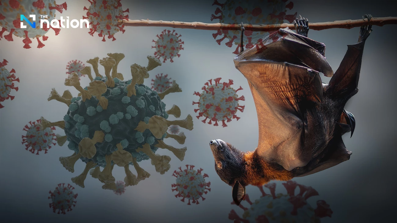 Wabah Virus Nipah, Thailand Peringatkan Peziarah India untuk Ikuti Aturan Medis